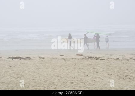 Groupe de jeunes qui se dirigent vers le surf lors d'une journée fade à Wickaninnish Beach, sur long Beach, sur la côte ouest de l'île de Vancouver, au Canada. Banque D'Images