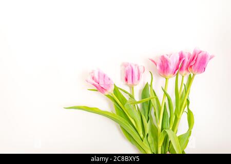 Bouquet de tulipes roses isolé sur fond blanc par le dessus. Vue de dessus du bouton de fleur rouge. Mise en page de la carte de vœux du printemps et de pâques. Banque D'Images