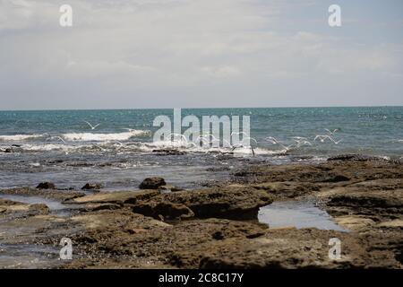 Pointe Vernon, affleurement rocheux avec paysage marin sauvage des oiseaux de mer Banque D'Images