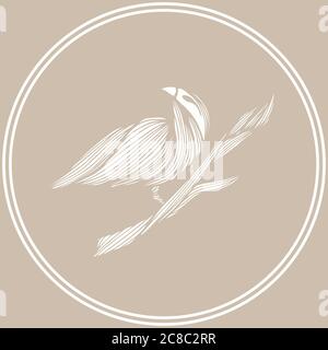 Livre de coloriage oiseau de paradis dessiné à la main, assis sur une branche avec de belles lignes de contour. Magnifique oiseau tropical dans un style vintage. Tiré à la main malade Illustration de Vecteur