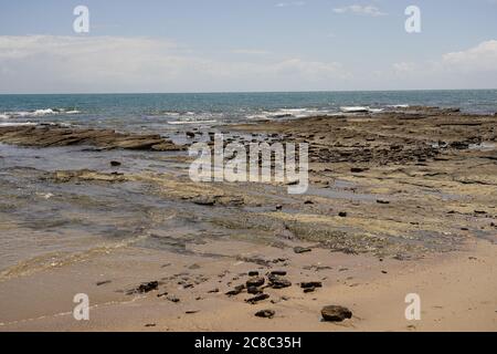 Pointe Vernon, affleurement rocheux avec paysage marin sauvage des oiseaux de mer Banque D'Images