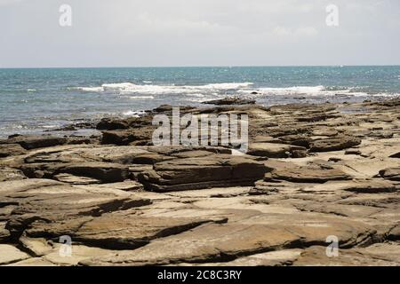 Pointe Vernon, affleurement rocheux avec paysage marin sauvage des oiseaux de mer Banque D'Images