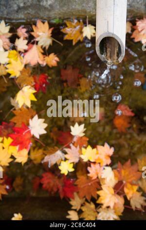 Fonctionnement de l'eau à partir de la pipe du bambou avec les feuilles d'automne sur la surface de l'eau Banque D'Images