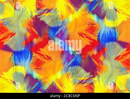 Photo d'arrière-plan de texture de plumes abstraites multicolores Banque D'Images