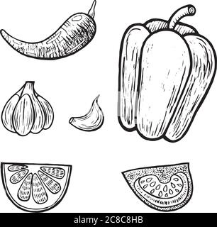 Ensemble de légumes mexicains. Page de coloriage graphique pour adultes. Illustration vectorielle Illustration de Vecteur