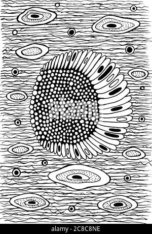 Lune surréaliste et nuages dans le ciel nocturne. Page de coloriage pour adultes. Illustration vectorielle Illustration de Vecteur