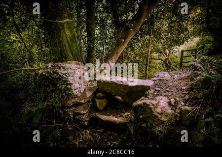 Une vieille pierre s'entaille sur un sentier de Metha Woods dans la vallée de Lappa, près de St Newlyn East, dans les Cornouailles. Banque D'Images