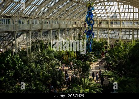 Serre dans les jardins botaniques royaux de Kew. Banque D'Images