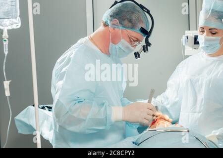 Chirurgien effectuant une chirurgie esthétique du nez dans la salle d'opération de l'hôpital. Chirurgien dans le masque portant des loupes chirurgicales pendant l'intervention médicale. Nez augmenter Banque D'Images