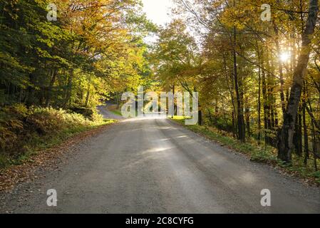 Route de campagne non pavée bordée d'arbres au coucher du soleil. Les rayons du soleil filtrent à travers les branches de l'arbre. Banque D'Images