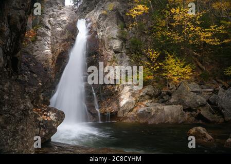 Belle cascade dans une forêt à feuilles caduques en automne Banque D'Images