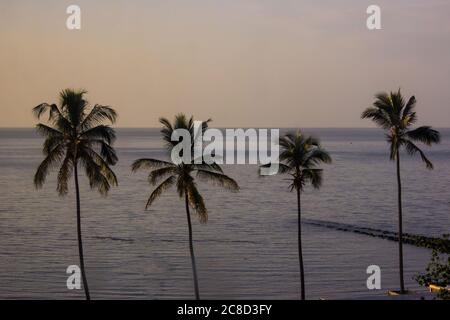 Aube au-dessus des eaux calmes de la baie de Maputo, au Mozambique, avec les silhouettes de quatre palmiers à noix de coco au premier plan Banque D'Images