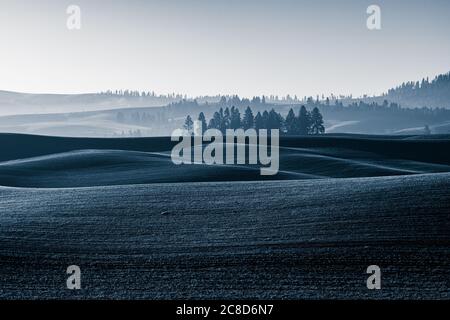 Palouse Landscape en novembre, Australie occidentale Banque D'Images