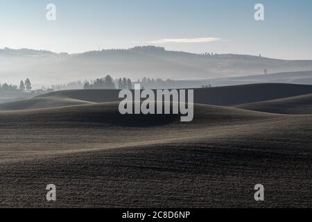 Palouse Landscape en novembre, Australie occidentale Banque D'Images