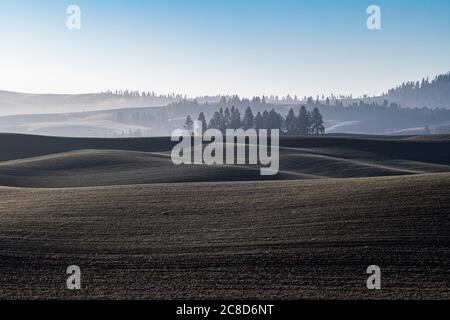 Palouse Landscape en novembre, Australie occidentale Banque D'Images