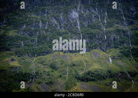 La végétation luxuriante de Green Cliff d'une montagne écossaise dans Les Glens avec Mini WaterfFalls Banque D'Images