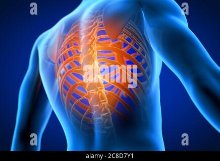 3d a rendu médicalement l'illustration précise d'un homme ayant un dos douloureux. Banque D'Images