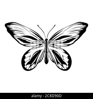 Silhouette, circuit d'un papillon tropical, isolé sur fond blanc. Illustration de Vecteur