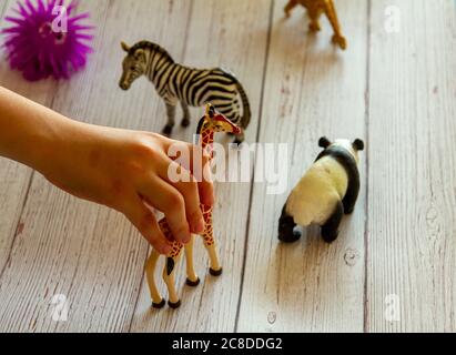 les mains des enfants comme elle joue avec des figurines d'animaux sur un banc. Elle place, se déplace et fait la voix avec les animaux selon l'histoire qu'elle fait Banque D'Images