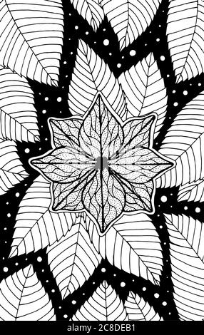 Hydrangea - illustration de fleurs. Dessin floral noir et blanc. Livre de coloriage pour adultes. Illustration vectorielle. Illustration de Vecteur