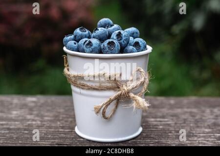 Quelques bleuets dans un petit seau à décorer sur banch en bois dans le jardin au coucher du soleil d'été, concept de nourriture saine Banque D'Images