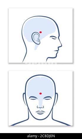 GLANDE PINÉALE OU TROISIÈME ŒIL. Vue latérale et frontale avec position dans le cerveau humain - illustration graphique sur fond blanc. Banque D'Images