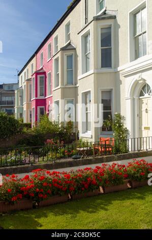 De petits jardins à l'avant sont une caractéristique de ces belles maisons en terrasse à Beaumaris Anglesey, au nord du pays de Galles, au Royaume-Uni Banque D'Images