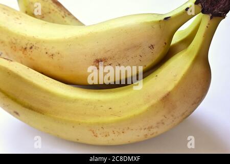 Bouquet de bananes fraîches du Panama. Banque D'Images