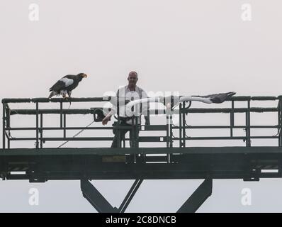 Château de Warwick, Warwickshire, Royaume-Uni. 23 juillet 2020. Le spectacle de l'oiseau de prière au château de Warwick a vu aujourd'hui l'aigle marin de Steller perdu, Nikita de retour au spectacle réuni avec ses autres oiseaux de prière, en se présentant au plaisir des visiteurs au château. Paul Quezada-Neiman/Alay Live News Credit: Paul Quezada-Neiman/Alay Live News Banque D'Images