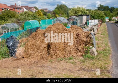 Tas de fumier ou de fumier dans la baie de muck sur le site d'allotissement être stocké en été prêt à être étalé allotements en hiver Banque D'Images