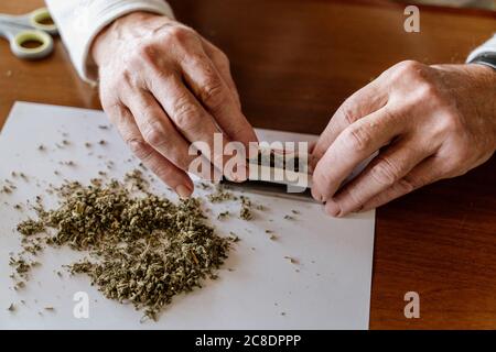 Gros plan de l'homme âgé à la retraite qui roule de la mauvaise herbe sur la table Banque D'Images