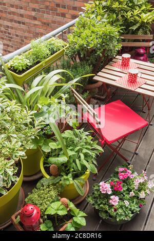 Balcon rempli d'une grande variété d'herbes en pot et de fleurs Banque D'Images