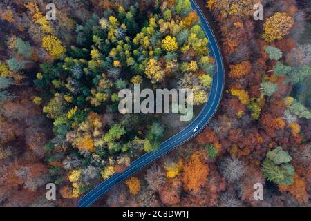 Allemagne, Bavière, Drone vue de la tortueuse route de campagne traversant la forêt d'automne à Steigerwald Banque D'Images