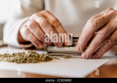 Section médiane de l'homme âgé à la retraite qui roule de la mauvaise herbe sur la table Banque D'Images