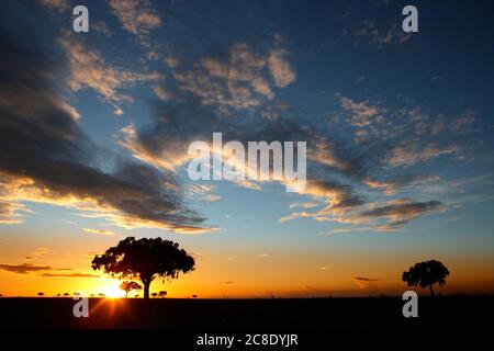 République démocratique du Congo, nuages au-dessus du parc national de Garamba au coucher du soleil Banque D'Images