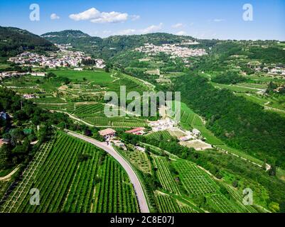 Italie, Vénétie, Vérone, Drone vue sur les vignobles de Valpolicella en été Banque D'Images