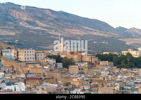 Maroc, Fes-Meknes, Fes, Médina Fes el Bali avec des collines en arrière-plan Banque D'Images