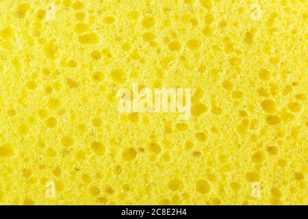 macro de texture éponge jaune pour les fonds Banque D'Images