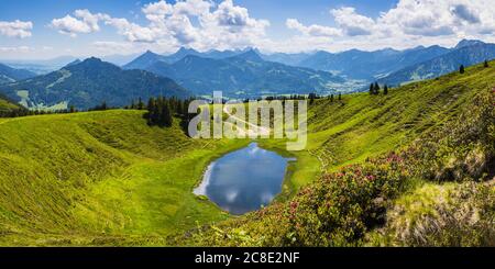 Allemagne, Bavière, Oberallgau, Wertacher Hornle, Blooming alpenrose (Rhododendron ferrugineum) et le lac Hornle dans le paysage des Alpes d'Allgau Banque D'Images