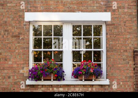 les fenêtres d'une maison victorienne avec des fenêtres et des fleurs lumineuses Banque D'Images