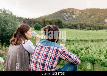 Couple de dégustation de vin blanc pendant qu'il est assis au vignoble Banque D'Images