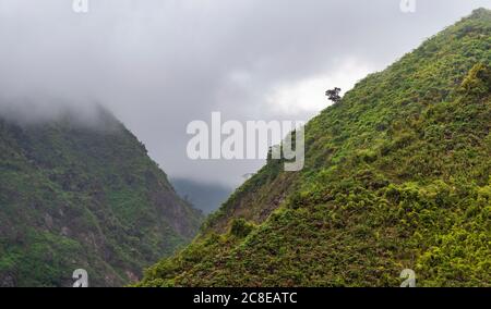 Paysage de la mystérieuse forêt nuageuse dans la chaîne de montagnes des Andes près de Mindo, Equateur. Banque D'Images