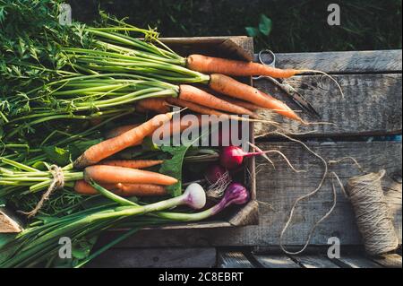 Légumes frais biologiques dans une boîte en bois. Concept pour les aliments crus biologiques Banque D'Images