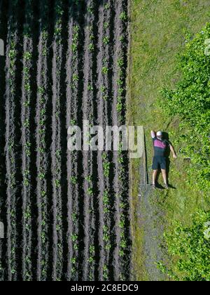 Vue aérienne de l'homme qui se détend à côté du champ de pommes de terre Banque D'Images