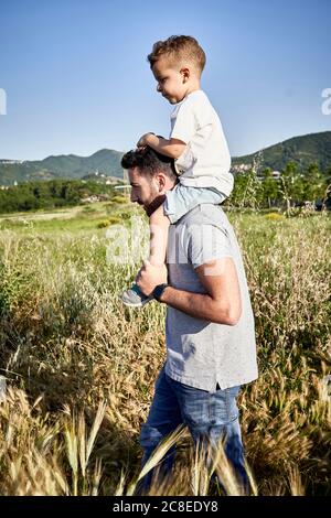 Père portant son fils sur les épaules tout en marchant parmi les plantes contre ciel dégagé pendant la journée ensoleillée Banque D'Images