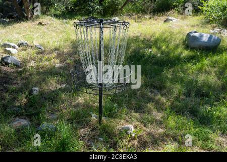 Disque de golf cage cible, avec des chaînes, dans un champ herbacé Banque D'Images