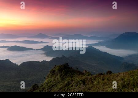 Le paysage de Phu Chi Dao que beaucoup de mer de brume et de ciel crépuscule au-dessus avant le lever du soleil dans la province de Chiang Rai, Thaïlande. Banque D'Images