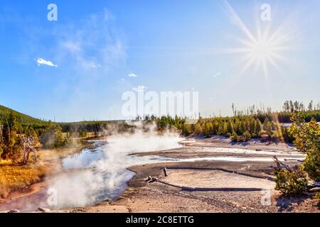 La vapeur chaude s'élève d'un geyser dans le bassin de Norris Geyser au parc national de Yellowstone, Wyoming, États-Unis, avec une éruption de soleil délibérée. Banque D'Images