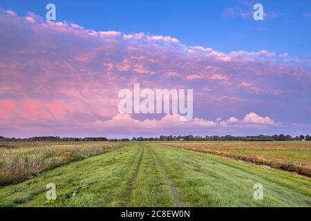 Coucher de soleil rose sur la réserve naturelle néerlandaise Onlanden à Drenthe, pays-Bas Banque D'Images