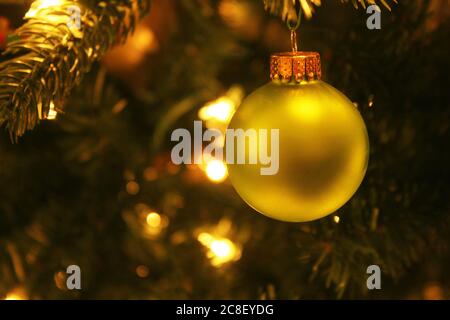 Décoration de Noël boule dorée sur pin. Banque D'Images